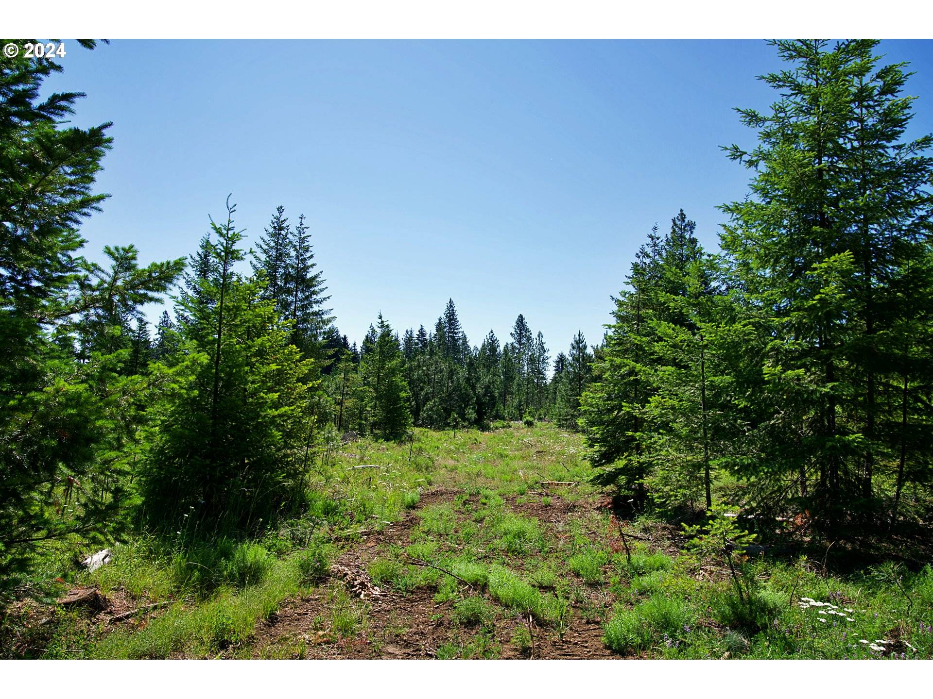 Trout Lake, WA 98650,BYRKETT RD #2