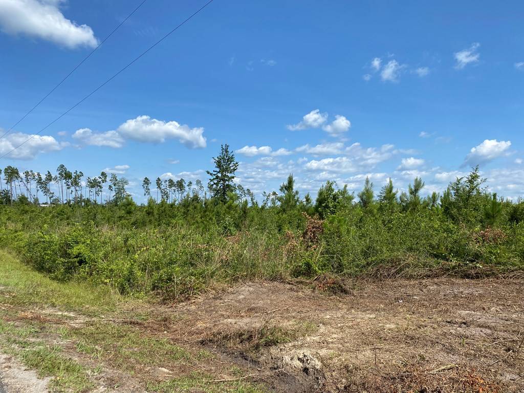 Wewahitchka, FL 32465,Lot 8 Idlewood Dr