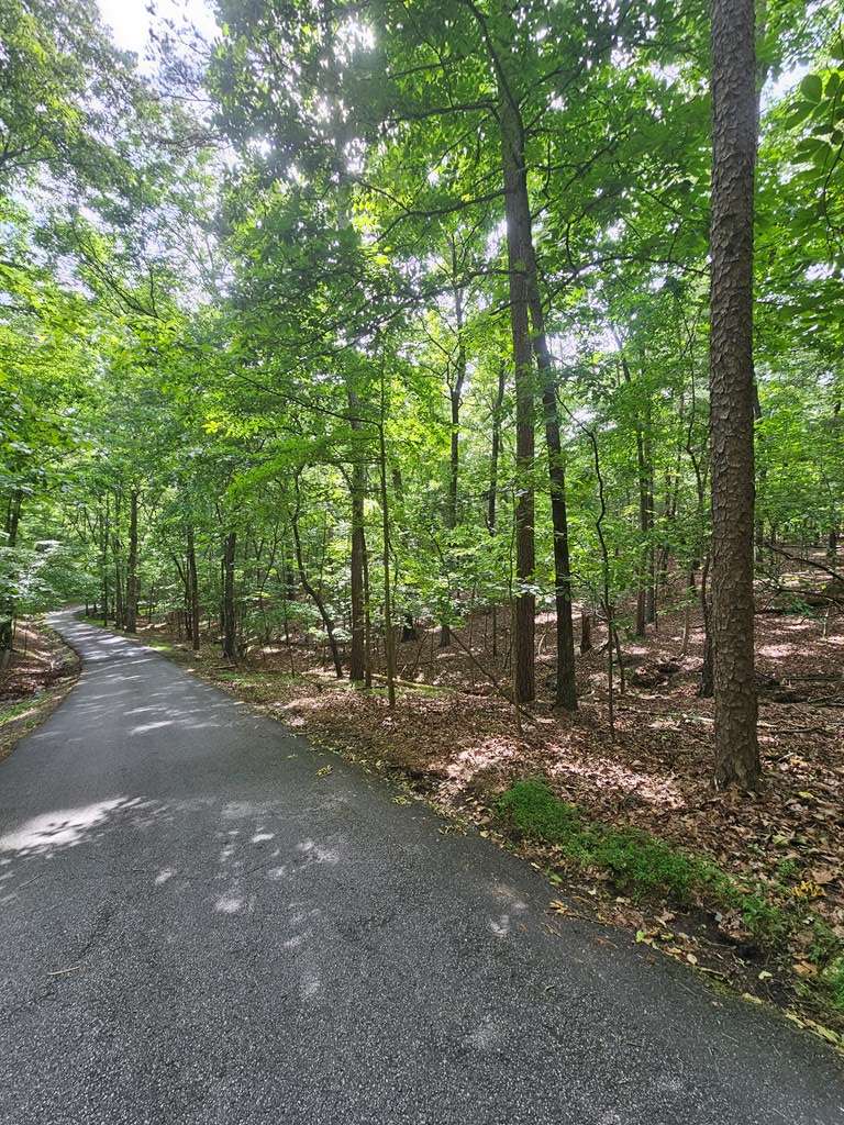 Ellijay, GA 30536,175 Misty Hollow Road