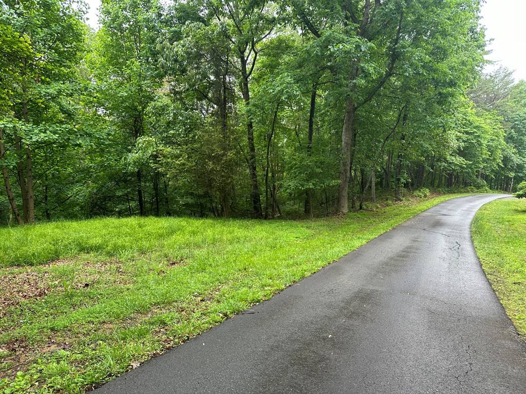 Ellijay, GA 30540,Lot 40 Timberwalk Drive