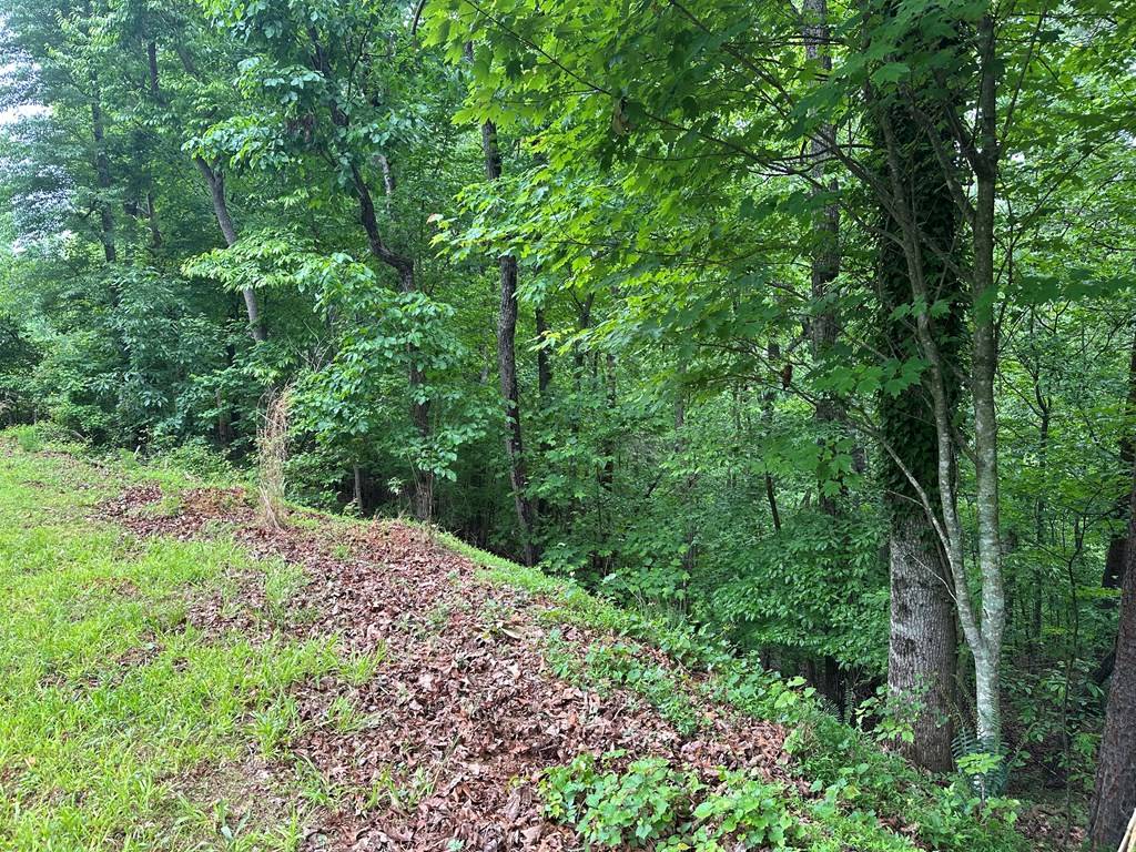 Ellijay, GA 30540,Lot 40 Timberwalk Drive