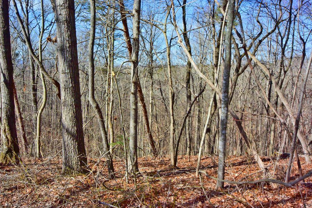 Ellijay, GA 30540,Lot 40 Timberwalk Drive