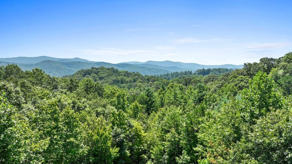 Blue Ridge, GA 30513,74 Hawkeye Ridge