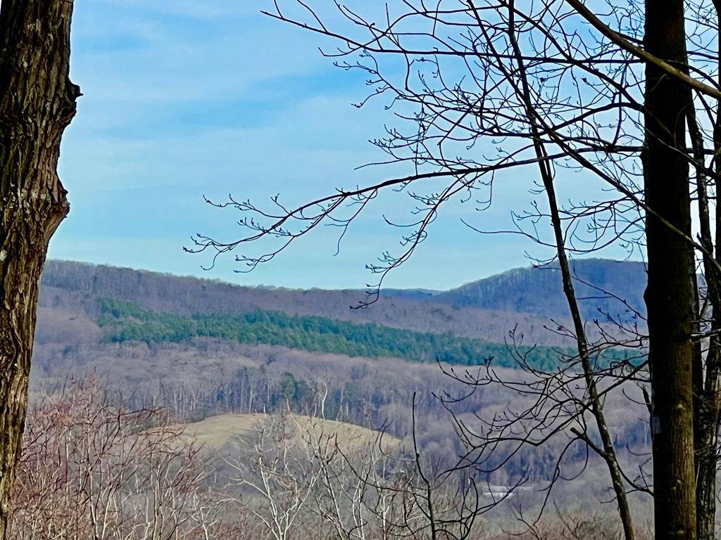 Ellijay, GA 30536,Lot 22 Sky High Drive