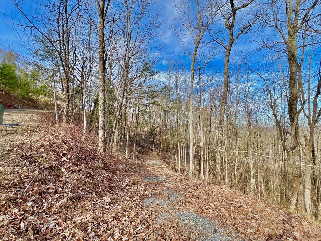 Ellijay, GA 30536,Lot 22 Sky High Drive