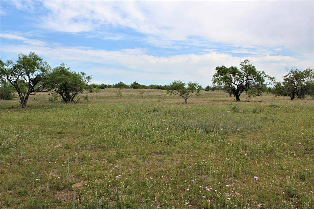 Carlton, TX 76436,T8-TBD FM 2823