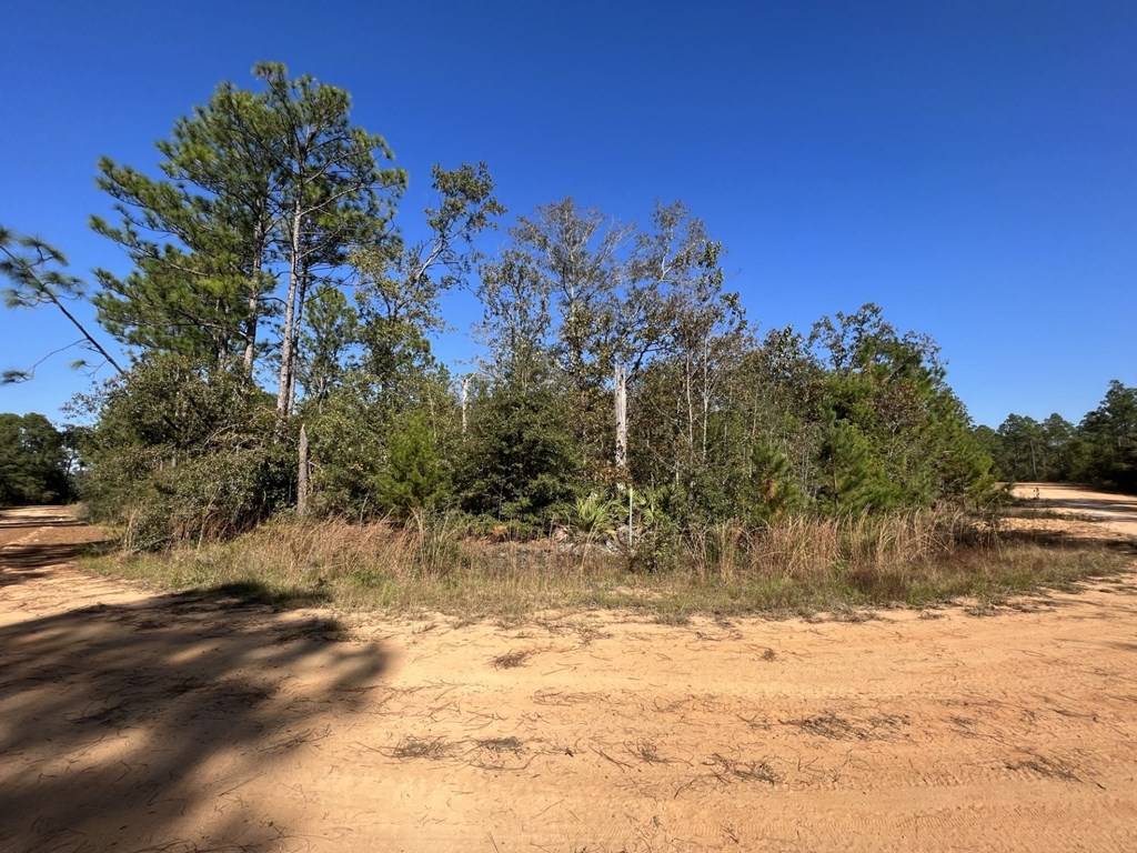 Alford, FL 32420,LOT 9 Arches Cir