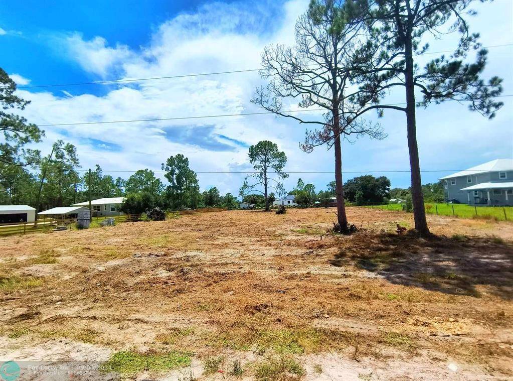 Labelle, FL 33935,7763 19th Pl