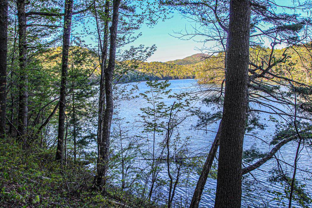 Murphy, NC 28906,Lt 17 Wilderness Lake Circle