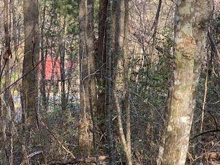 Blairsville, GA 30512,Lot 2 Hwy 129/19 S