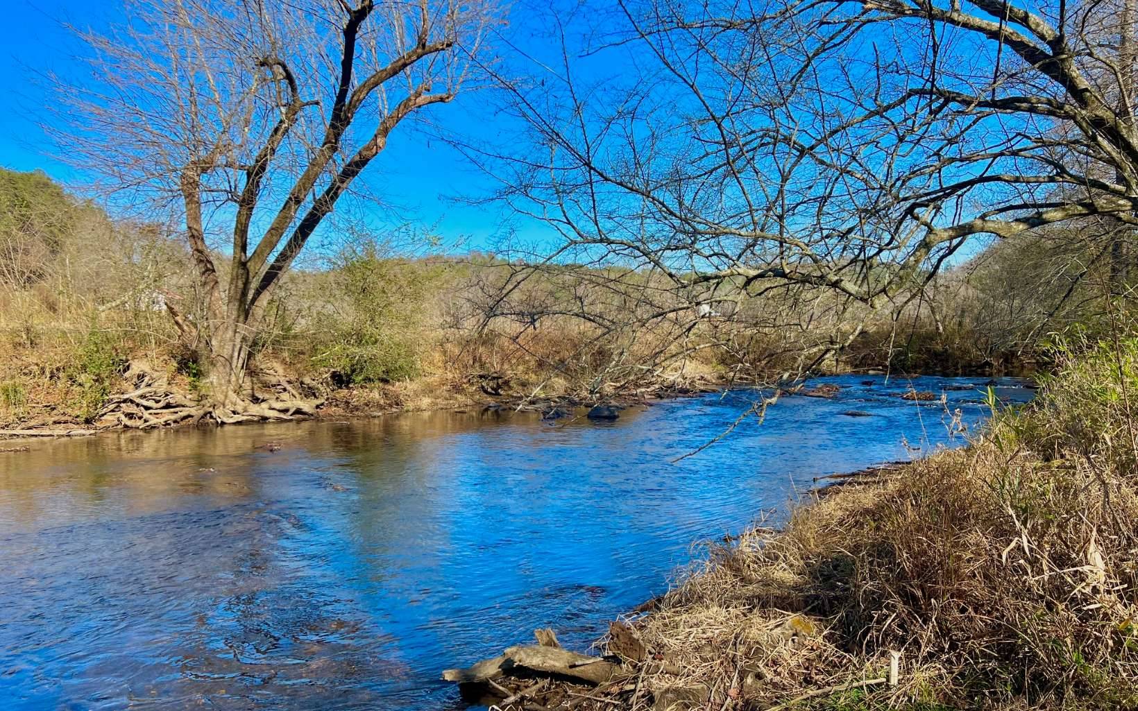 Cherry Log, GA 30522,LOT 5 River Escape Trail