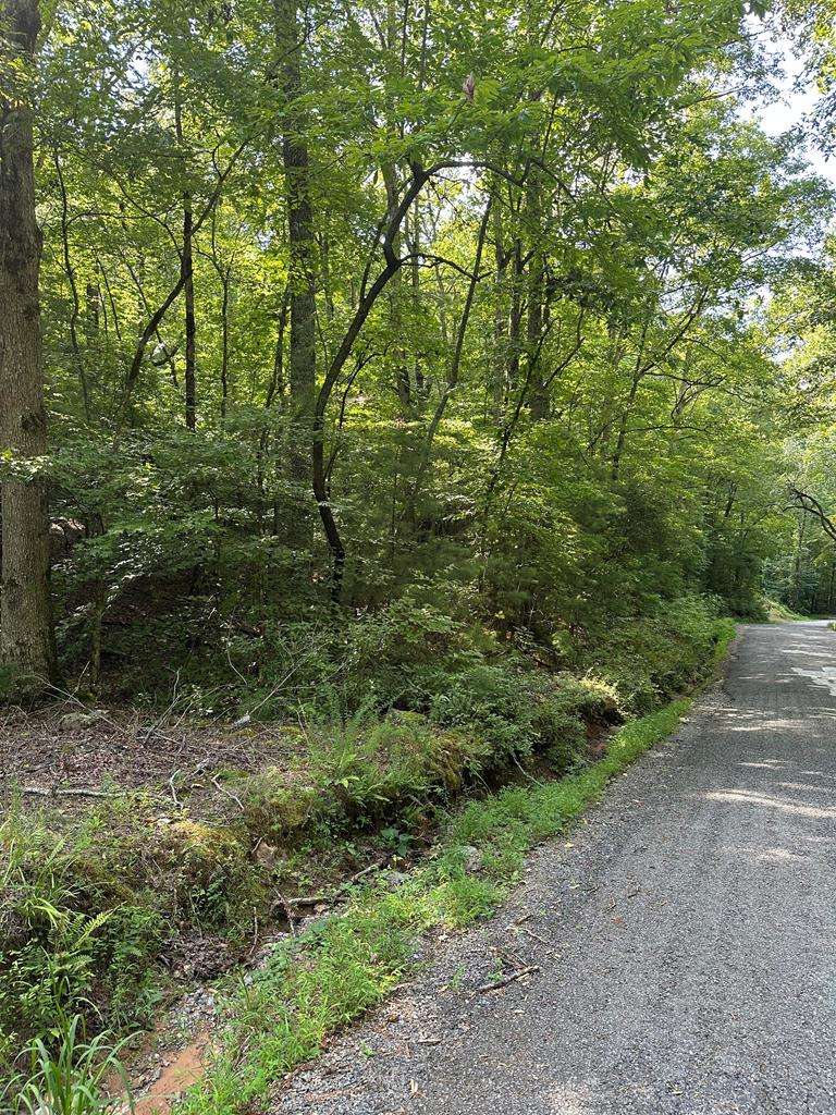 Ellijay, GA 30541,Lot 29 Owltown Road