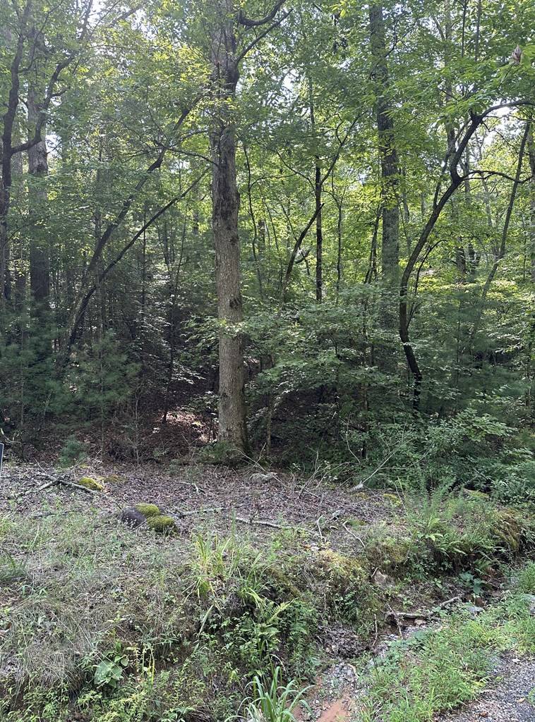 Ellijay, GA 30541,Lot 29 Owltown Road