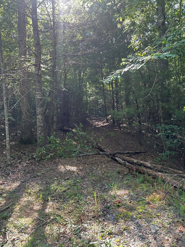 Ellijay, GA 30541,Lot 29 Owltown Road