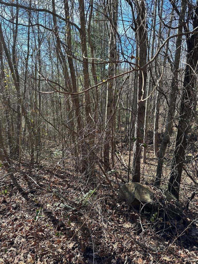 Hayesville, NC 28904,5 lots Ali Drive