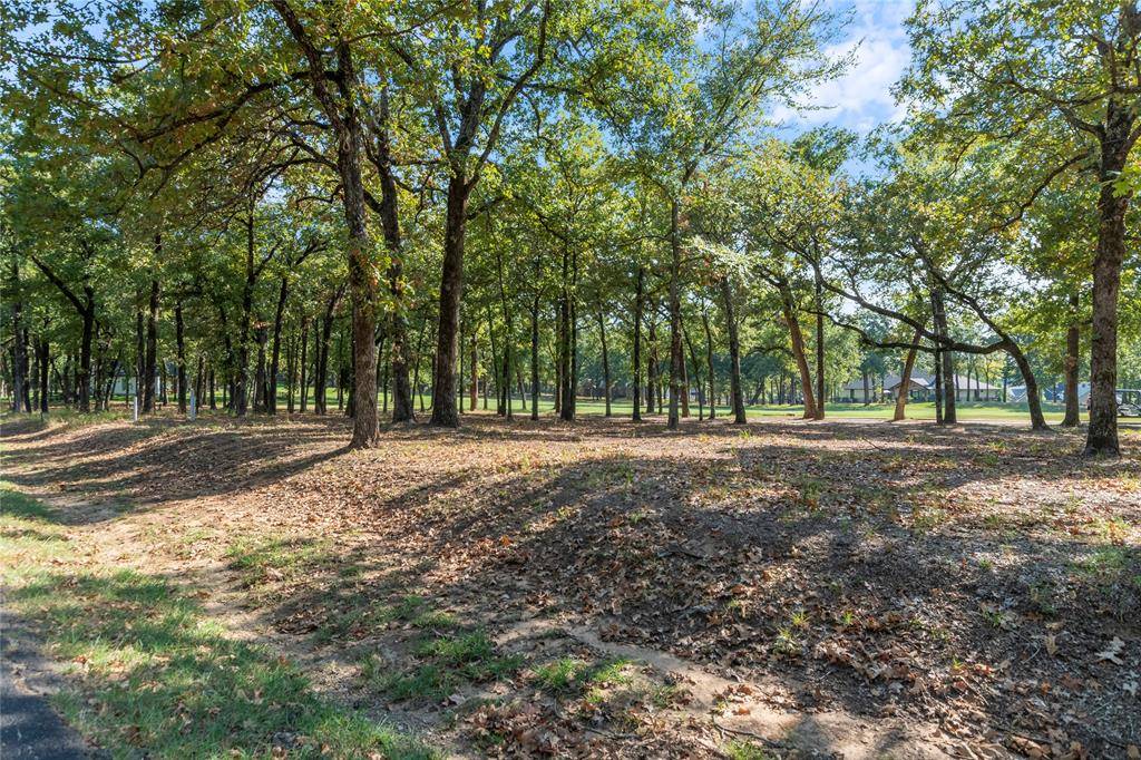 Mabank, TX 75156,00 Colonial Drive