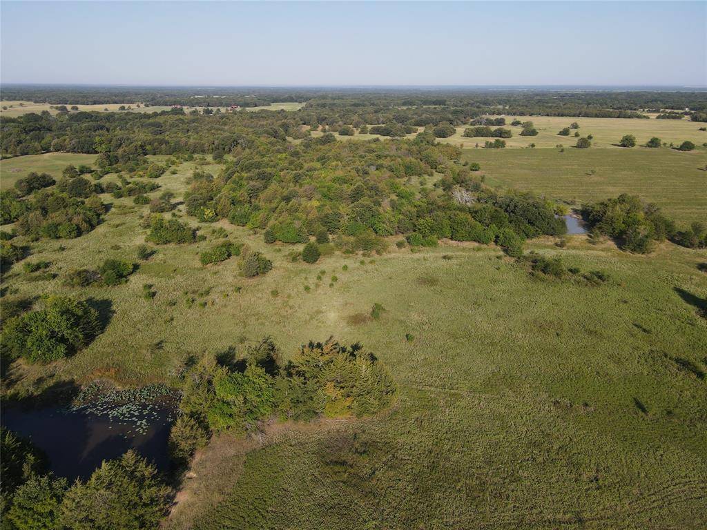 Ivanhoe, TX 75447,TBD #1 CR 2205