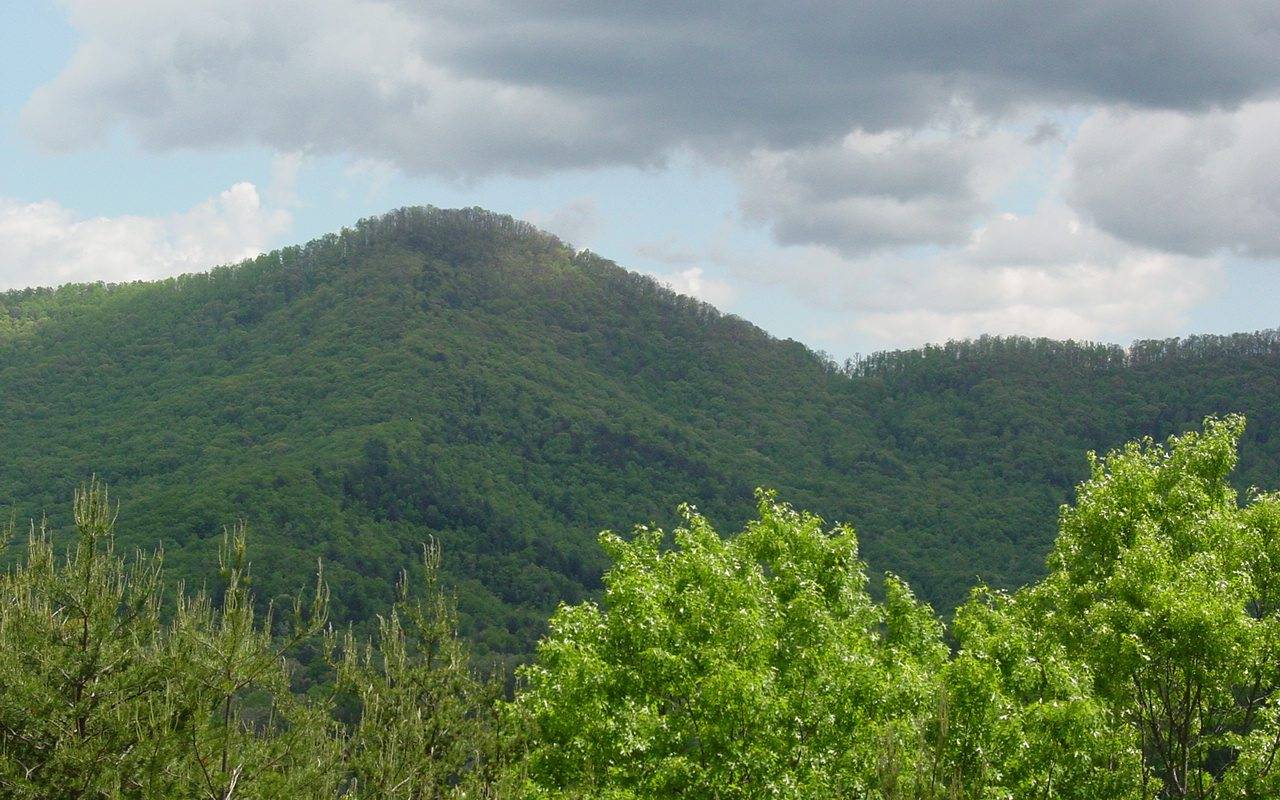 Hiawassee, GA 30546,#19 Scenic Views