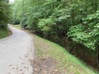 Ellijay, GA 30540,LOT 3093 Monocle Drive