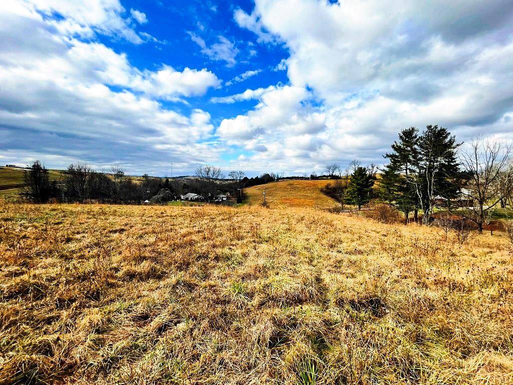 Wytheville, VA 24382,.72 ac S Petunia Road