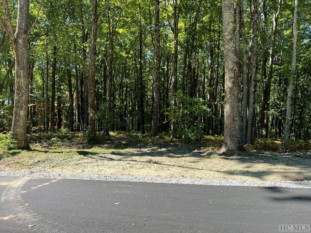 Glenville, NC 28736,Lot C41 Roaming Road