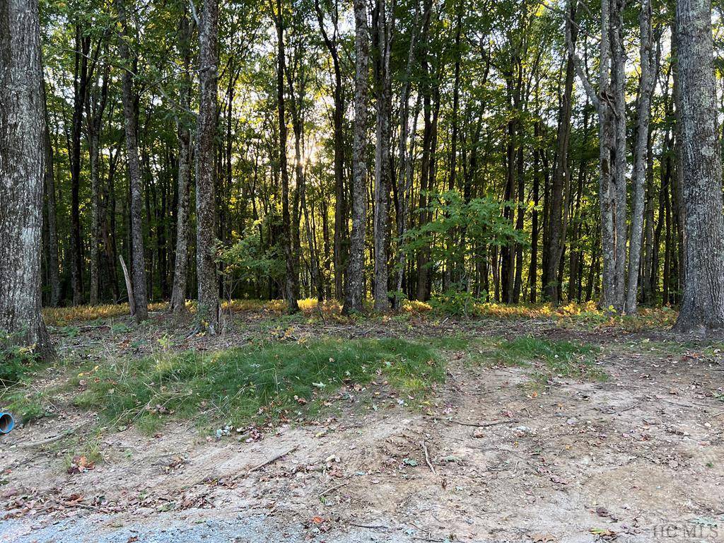 Glenville, NC 28736,Lot C41 Roaming Road