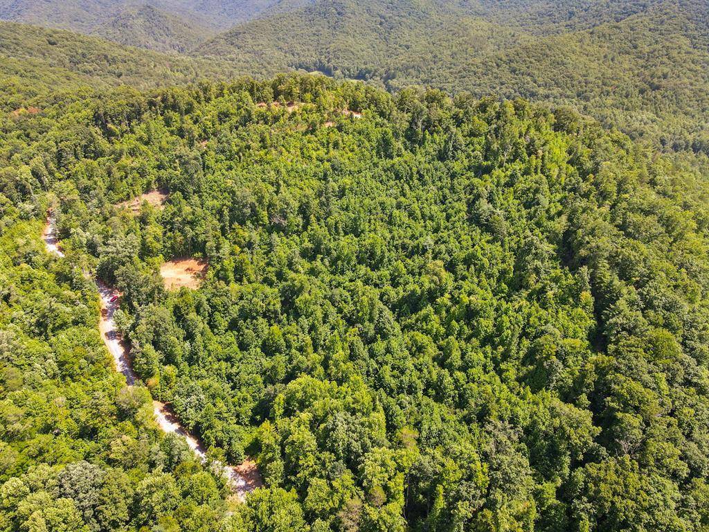 Hiawassee, GA 30546,0000 Tom Wheeler Road