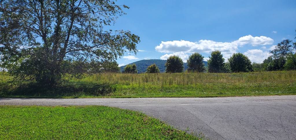 Young Harris, GA 30582,lot #4 Holland Drive