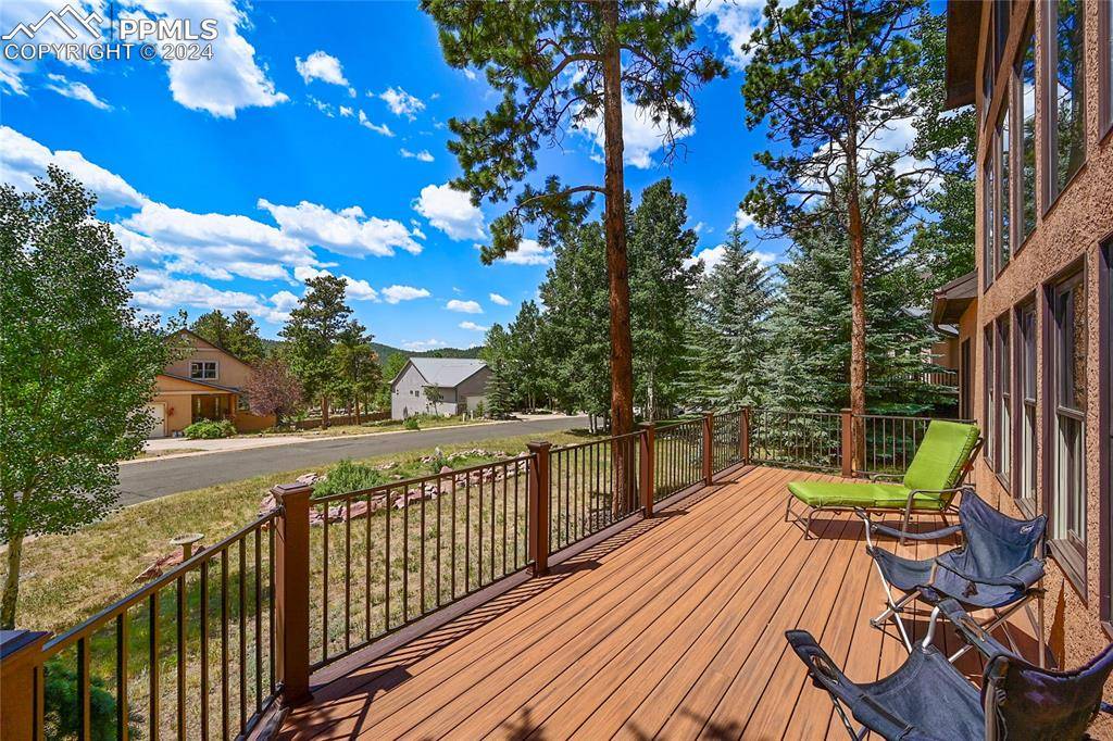 Woodland Park, CO 80863,520 Owl CT