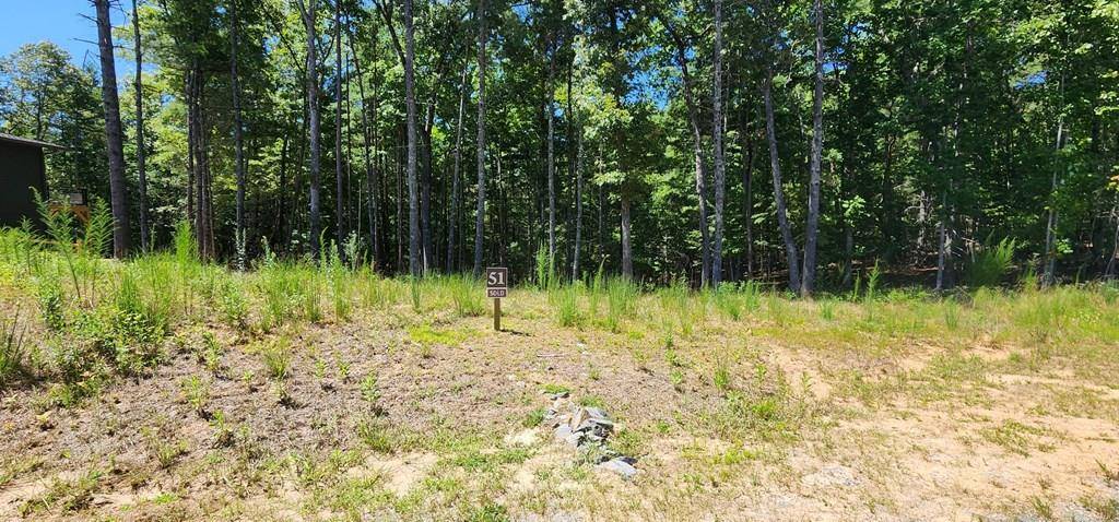 Morganton, GA 30560,Lot 51 Ridge Drive