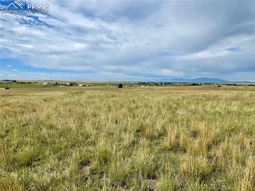 Peyton, CO 80831,18650 Longhorn Acres TRL