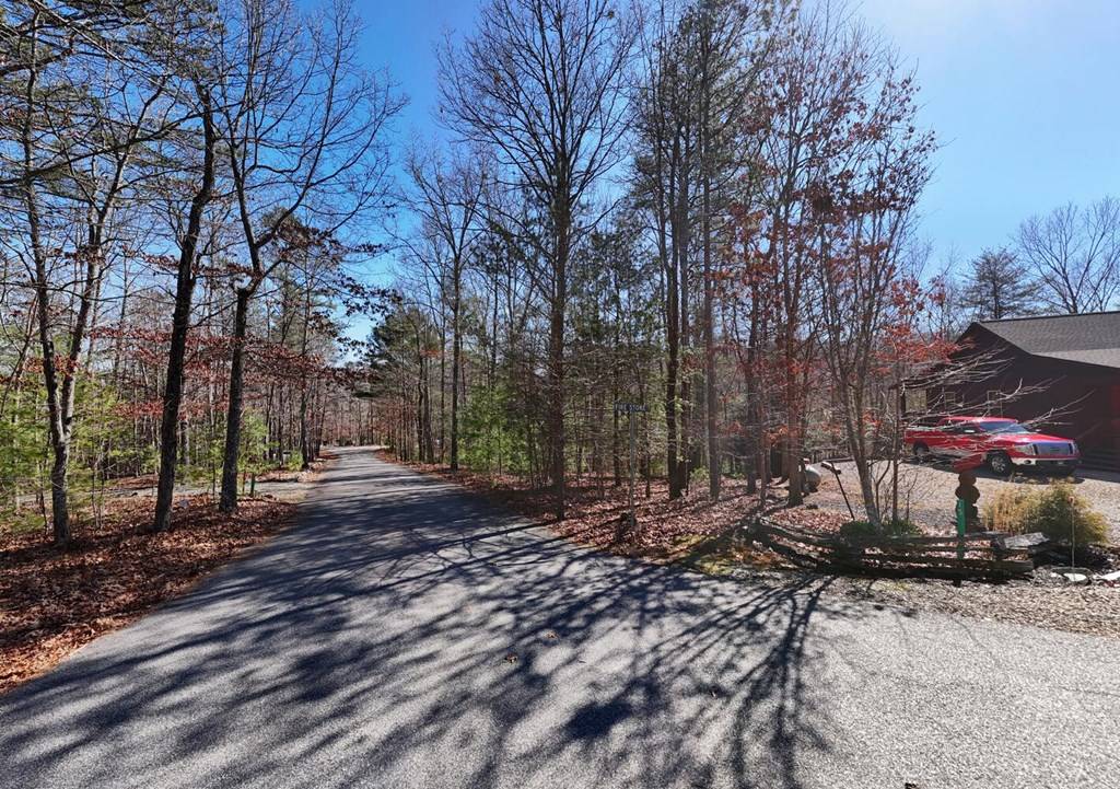 Morganton, GA 30560,Lot 20 Wrought Iron Trail