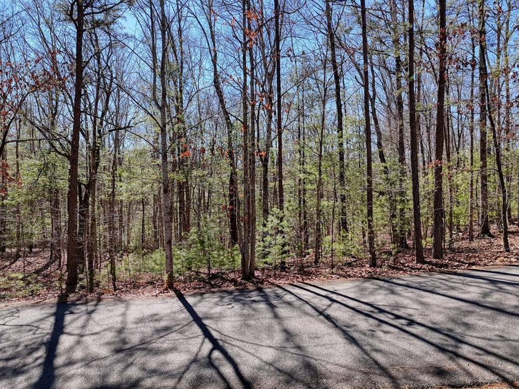 Morganton, GA 30560,Lot 20 Wrought Iron Trail