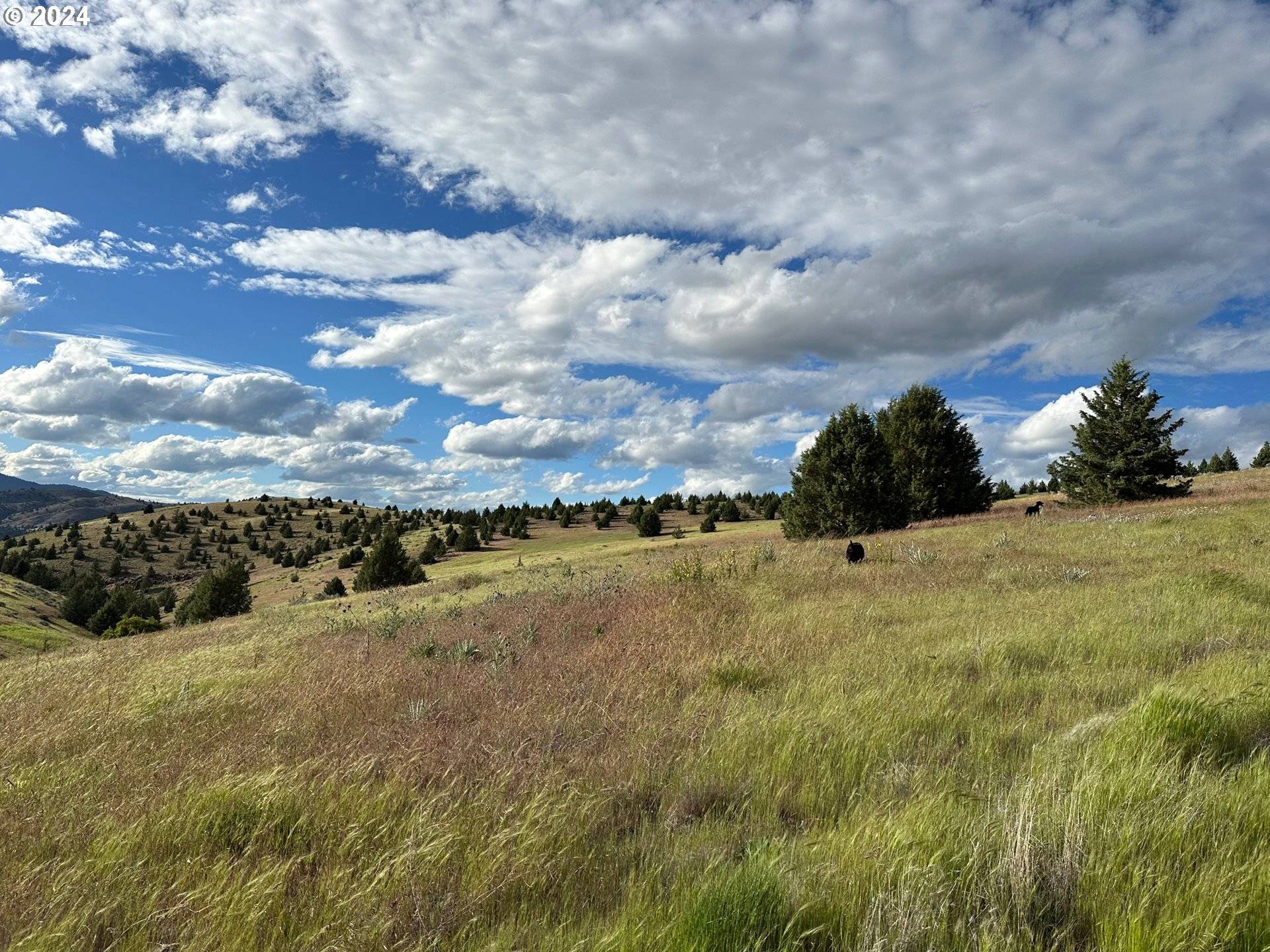 John Day, OR 97845,Industrial Park RD