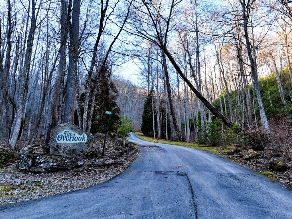 Young Harris, GA 30582,LOT36 Overlook Loop