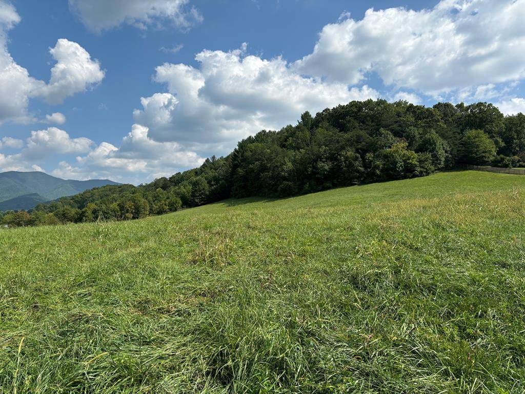 Hayesville, NC 28904,9.12-AC Mission Hill Road