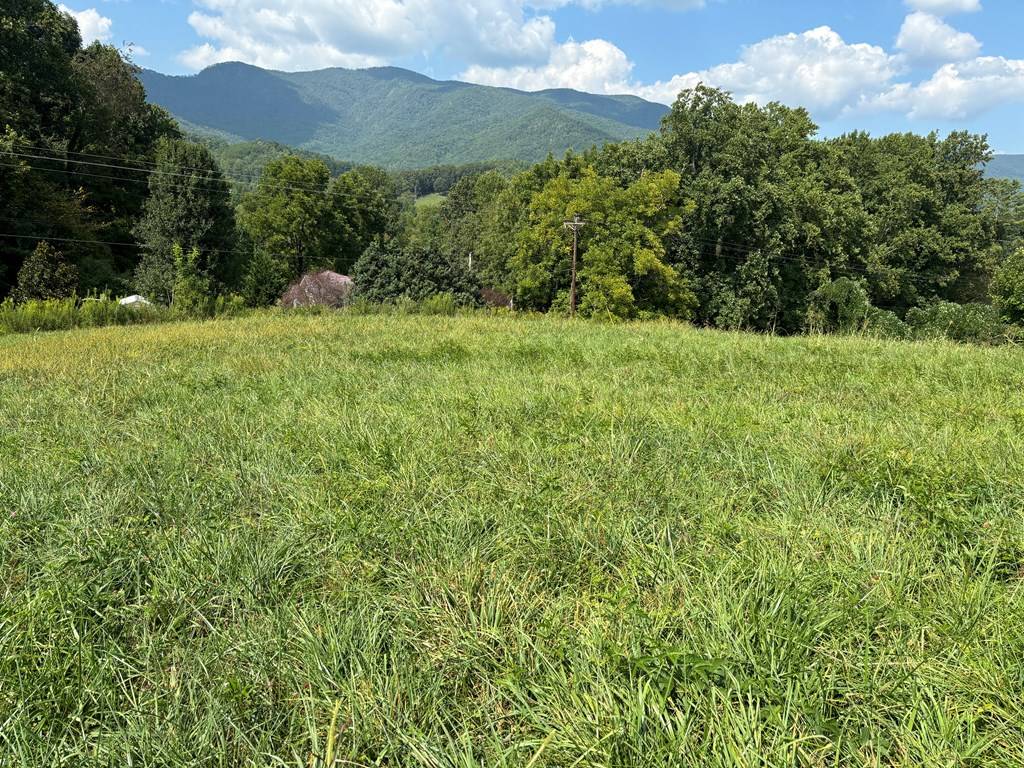 Hayesville, NC 28904,9.12-AC Mission Hill Road