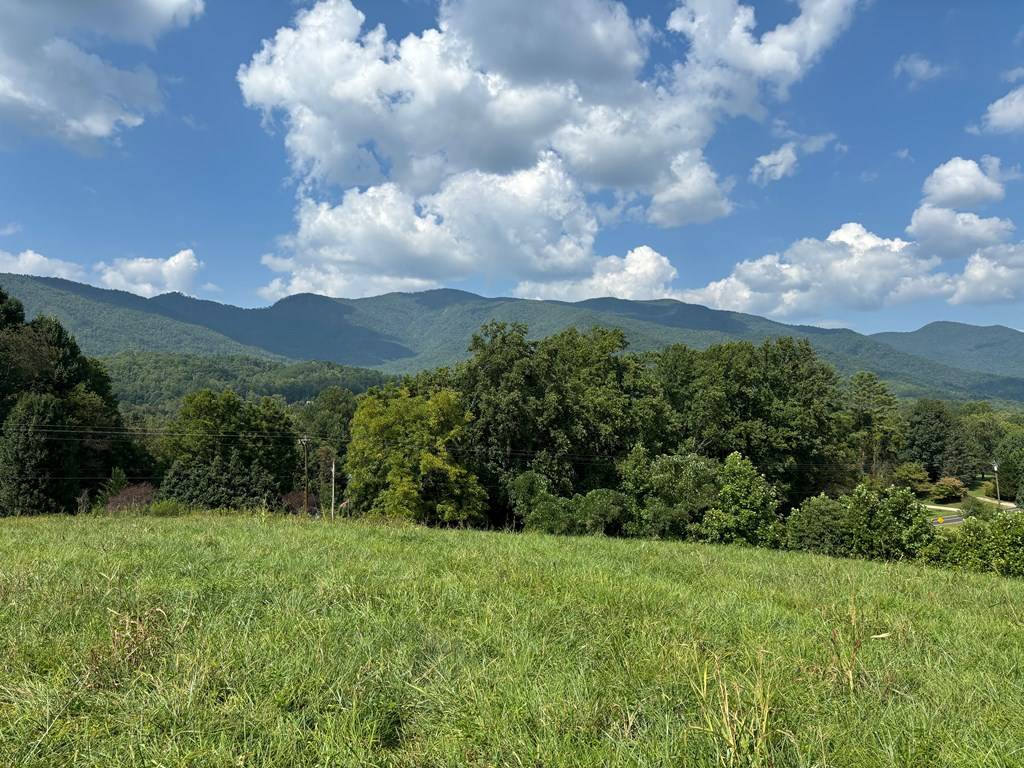 Hayesville, NC 28904,9.12-AC Mission Hill Road