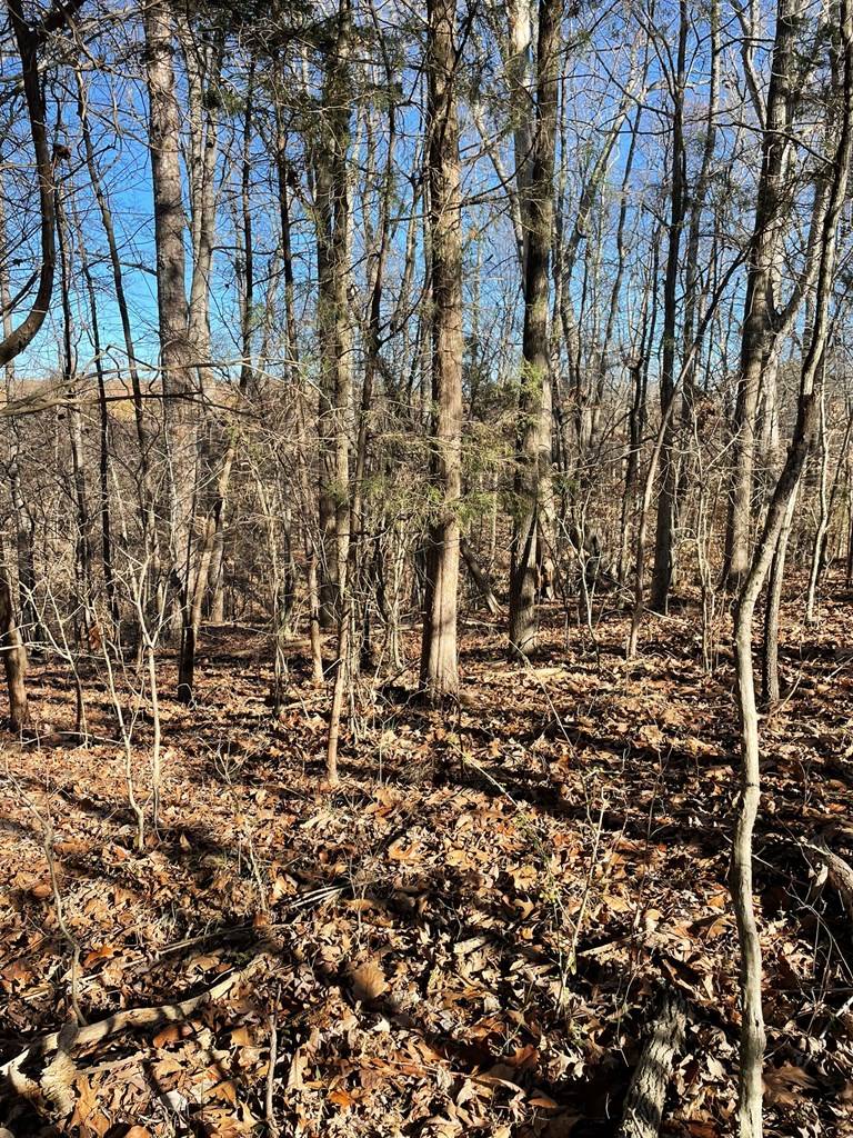 Clarksville, VA 23927,Lot 7 Fern Drive