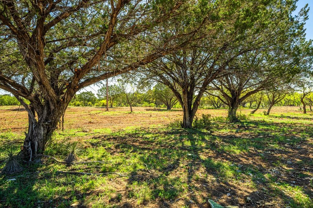 London, TX 76854,1806 -- Ranch Rd 385