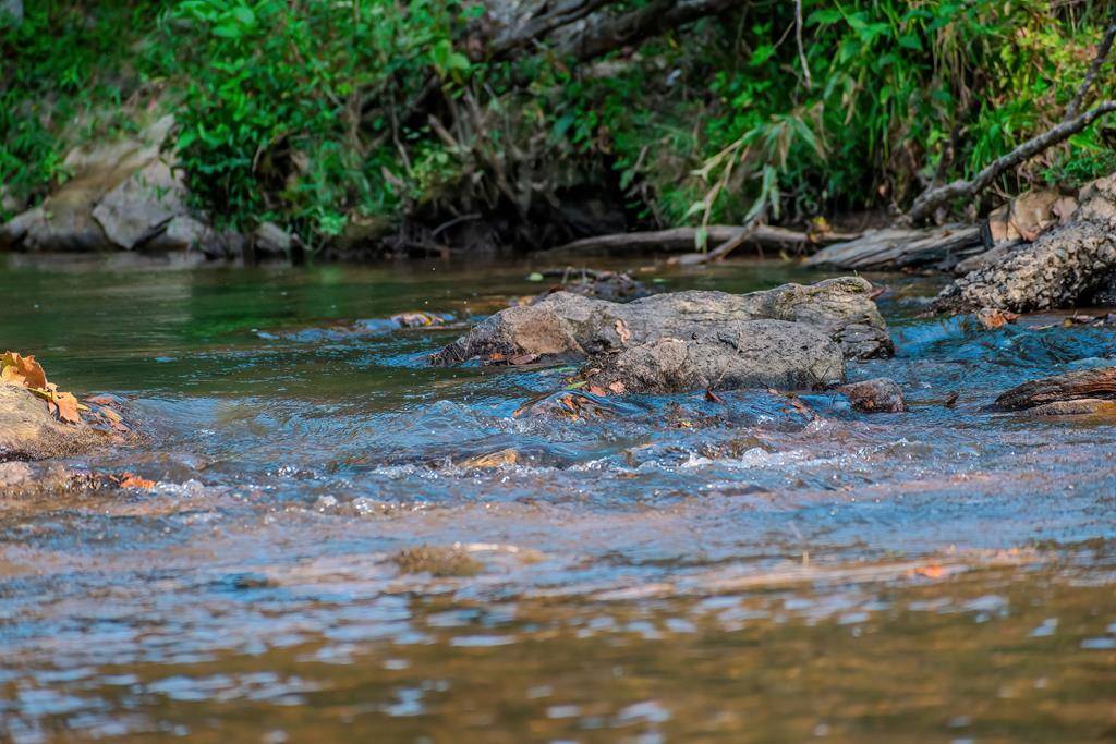 Mineral Bluff, GA 30559,1.40 Mountain Rivers Road