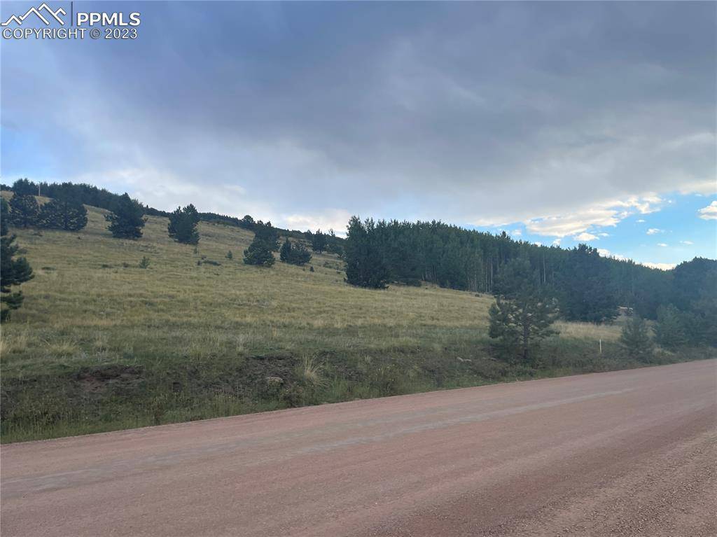 Cripple Creek, CO 80813,878 Anges DR