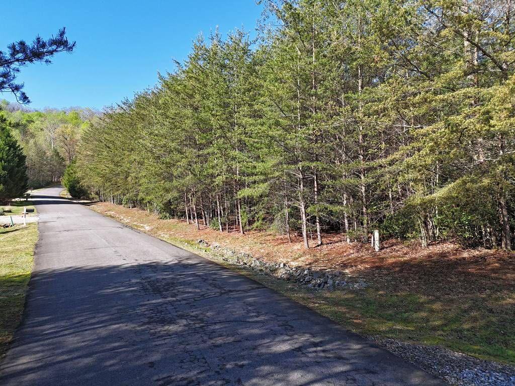 Blairsville, GA 30512,Lot 64 Laurel Brooke