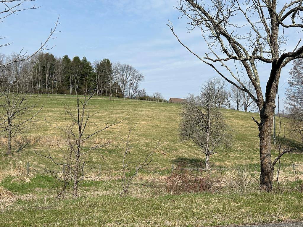 Wytheville, VA 24382,11.82 ac N 4th St