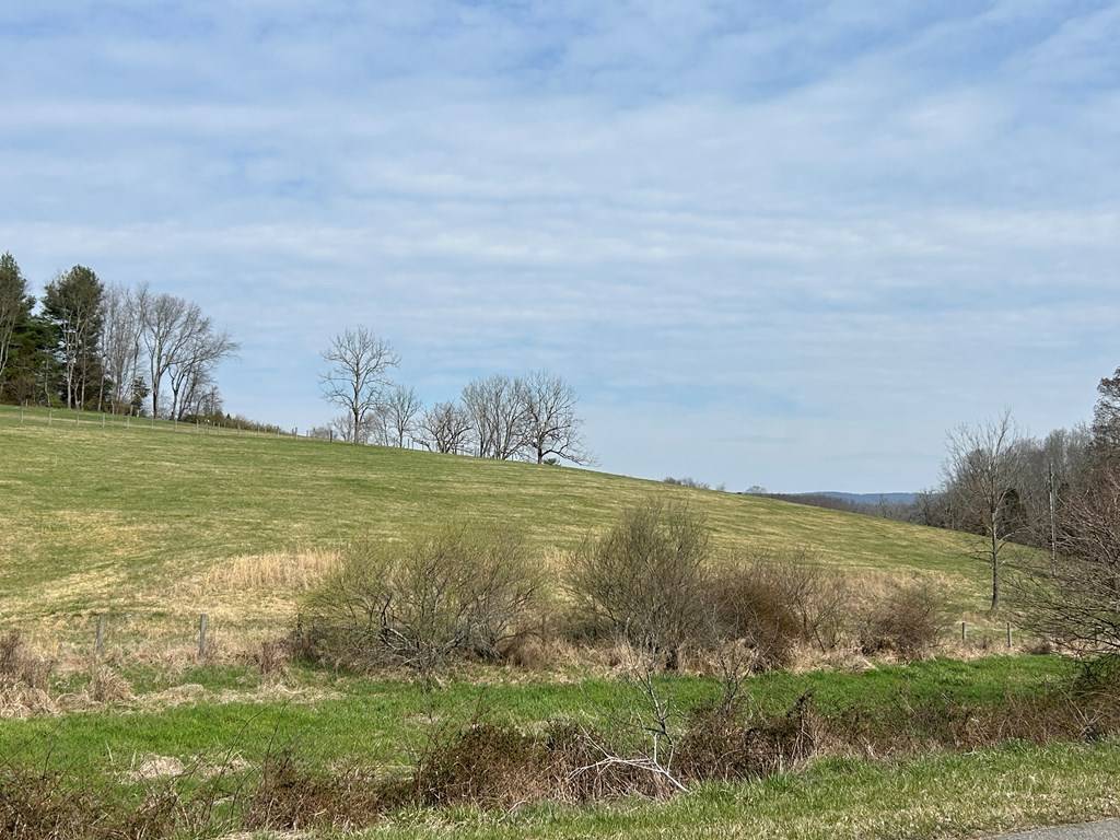 Wytheville, VA 24382,11.82 ac N 4th St