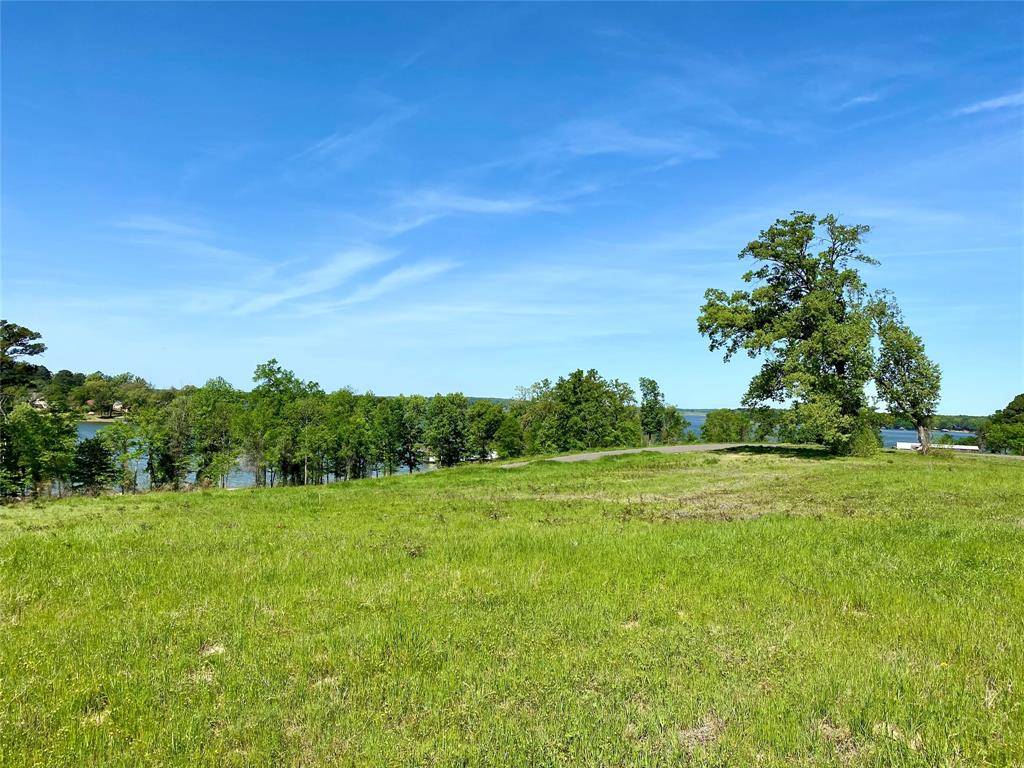 Pittsburg, TX 75686,LOT 46 TBD Waterview Lane