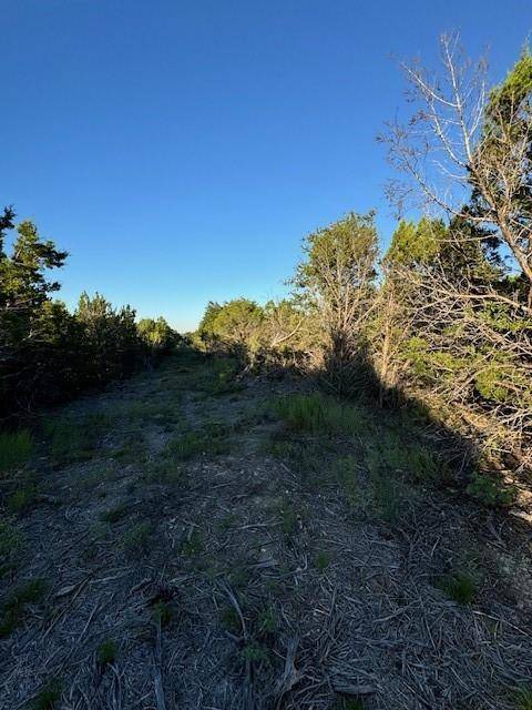 Stephenville, TX 76401,TBD Adobe Hill Drive #Lot 68