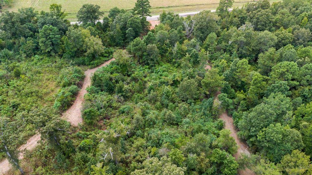 Gilmer, TX 75644,3rd Tract 10AC Fm 852