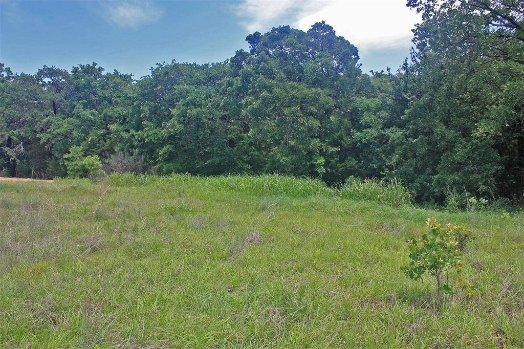 Glen Rose, TX 76043,Lot 37 Paloma Court