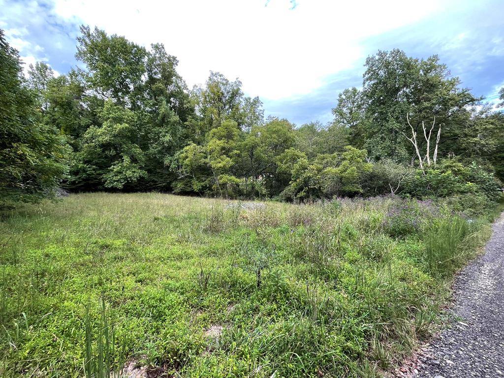 Hayesville, NC 28904,Lot 9 Sharons Valley Drive